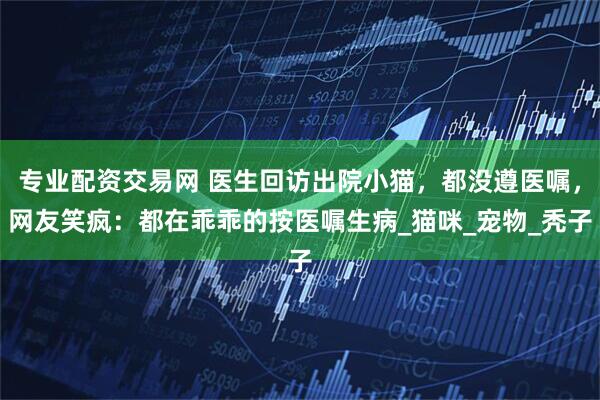 专业配资交易网 医生回访出院小猫，都没遵医嘱，网友笑疯：都在乖乖的按医嘱生病_猫咪_宠物_秃子