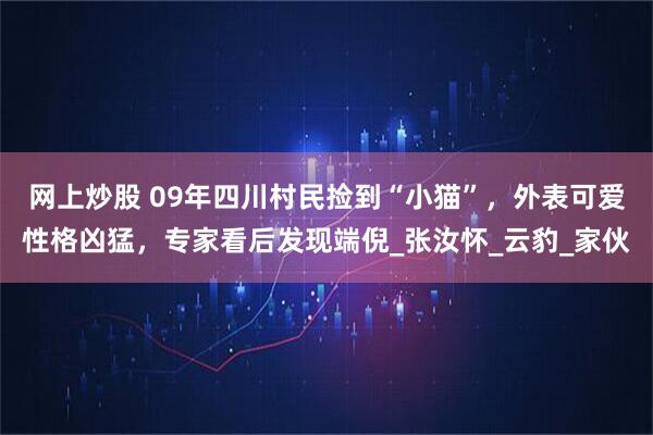 网上炒股 09年四川村民捡到“小猫”，外表可爱性格凶猛，专家看后发现端倪_张汝怀_云豹_家伙