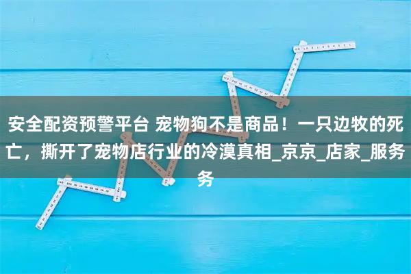 安全配资预警平台 宠物狗不是商品！一只边牧的死亡，撕开了宠物店行业的冷漠真相_京京_店家_服务